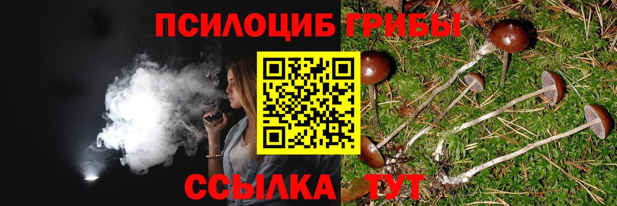 Галлюциногенные грибы Magic Shrooms Минеральные Воды